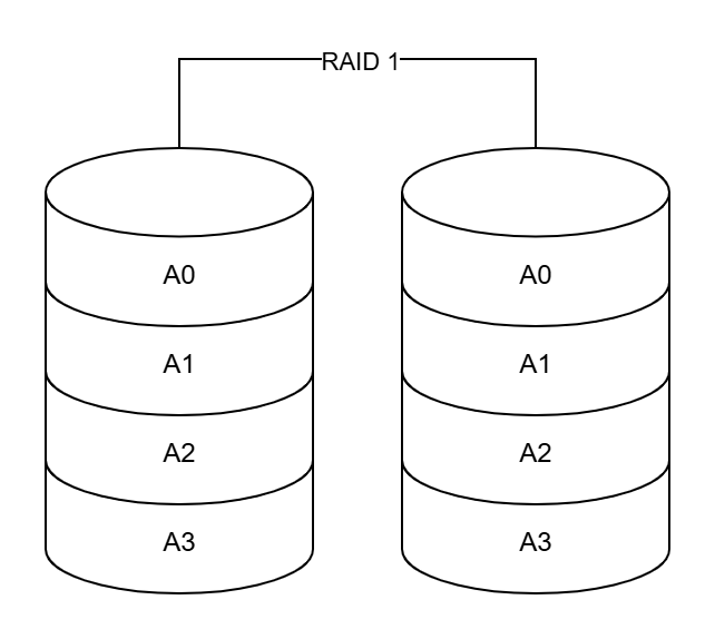 RAID 1